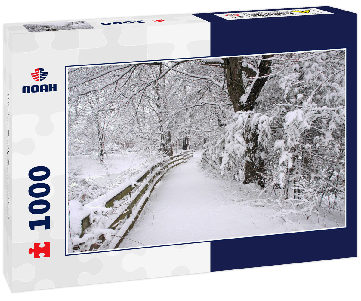 Winter Trail, Connecticut