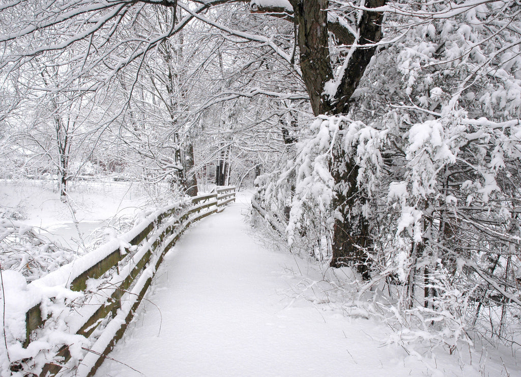 Winter Trail, Connecticut