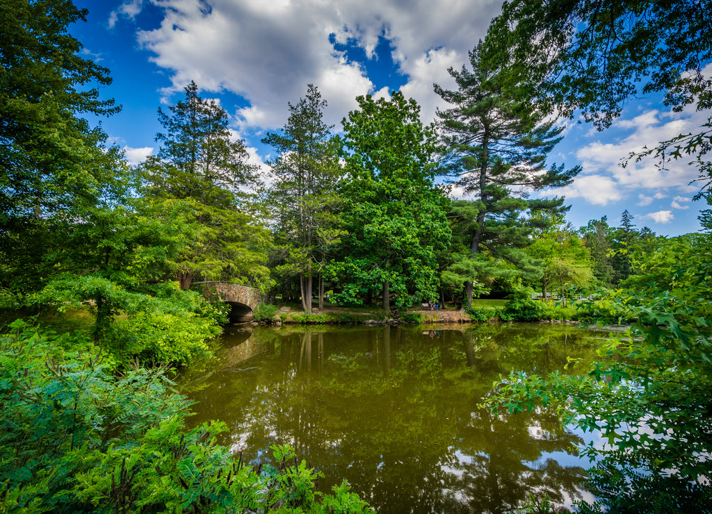Pond at Elizabeth Park, in Hartford, Connecticut