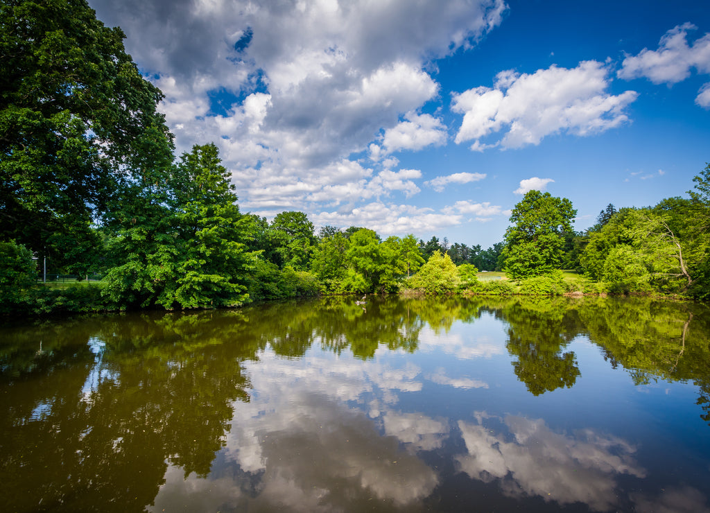 Pond at Elizabeth Park, in Hartford, Connecticut
