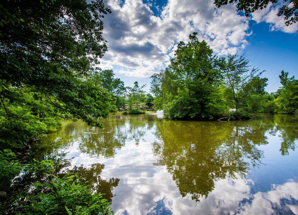 Pond at Elizabeth Park, in Hartford, Connecticut