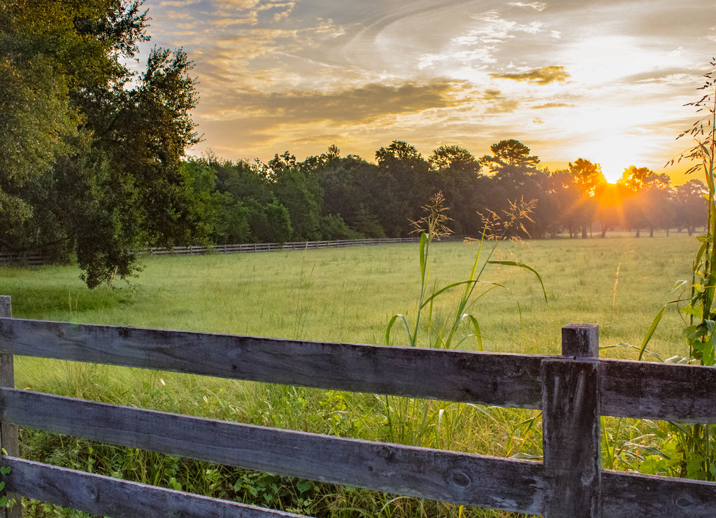 Sunrise in Fairhope, Alabama