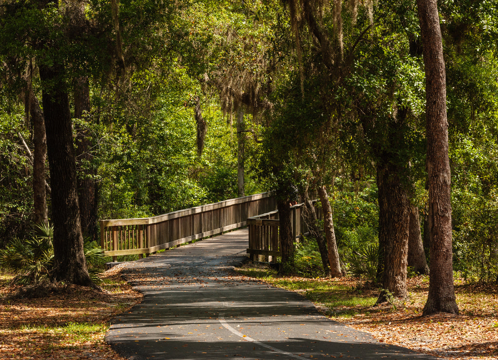 Paved bike trail through the different vegetation at Gulf State Park, Gulf Shores, Alabama