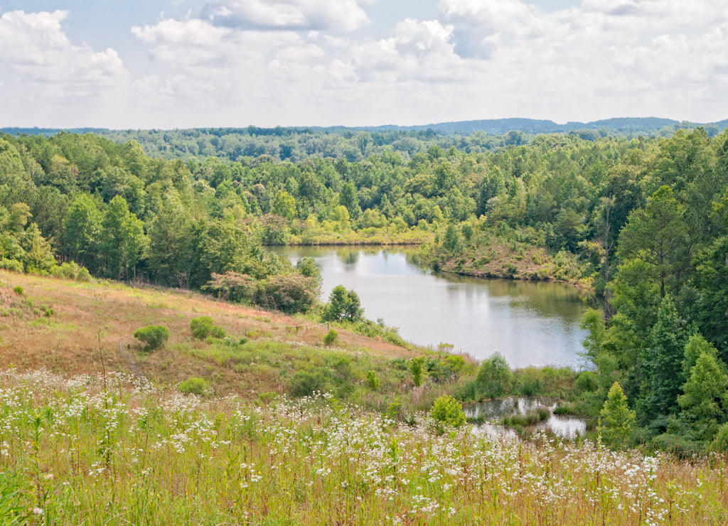 Small lake along Interstate 22 in Alabama USA with reflection of clouds in water and a swamp area near by