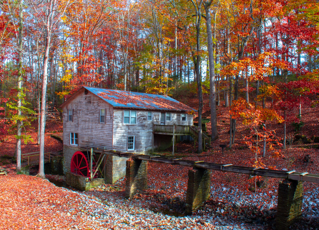 Old Alabama Wheel House