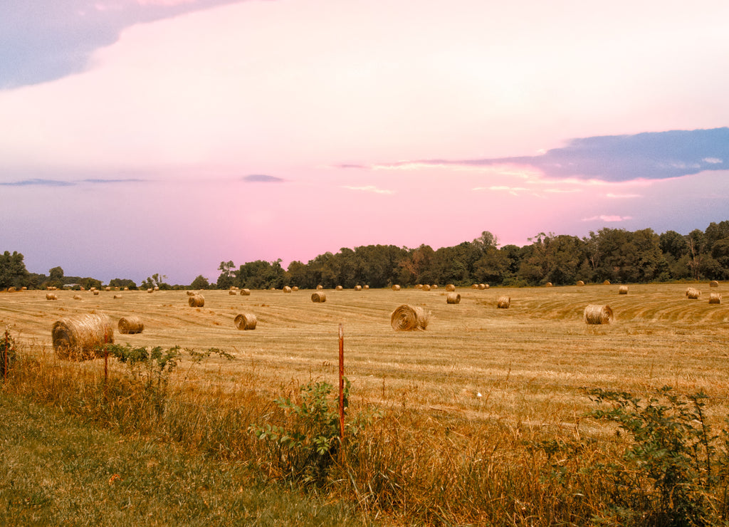 Rural Alabama sunset of a hay field