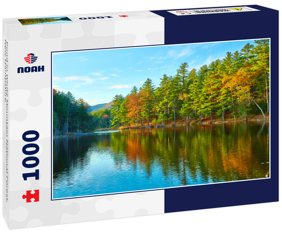 Pond in White Mountain National Forest, New Hampshire