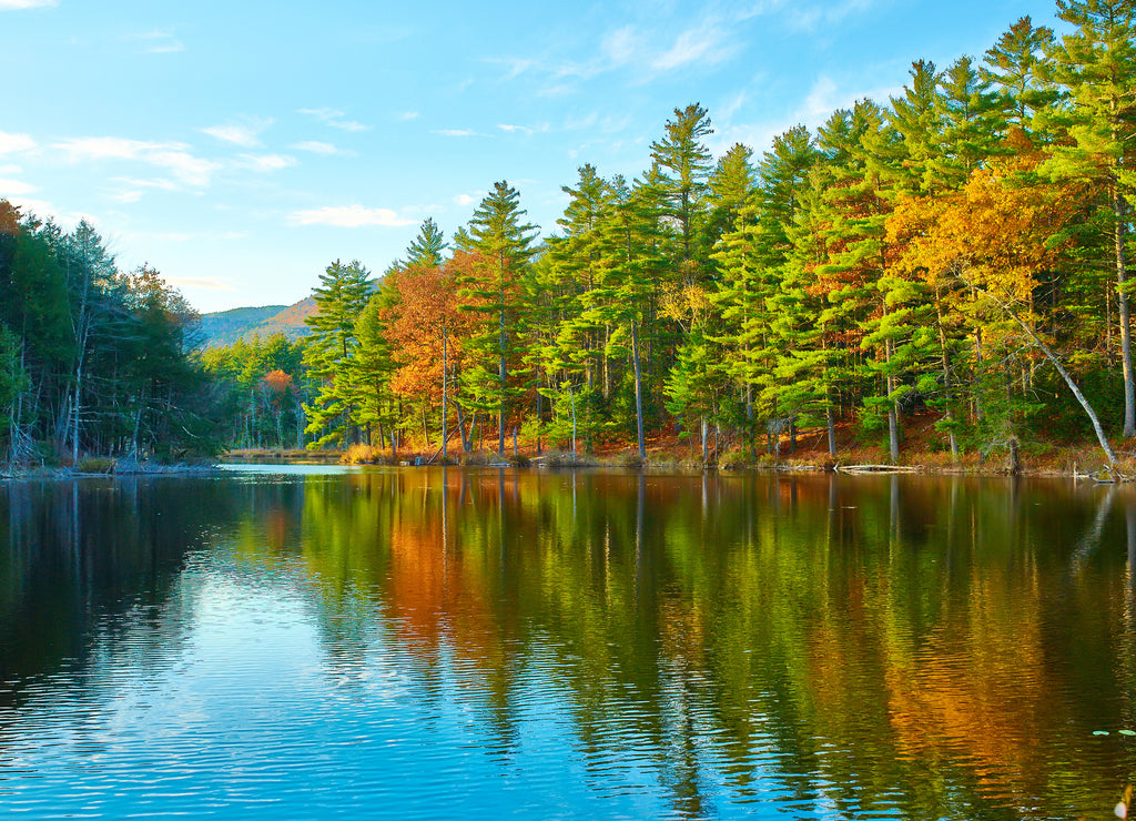 Pond in White Mountain National Forest, New Hampshire