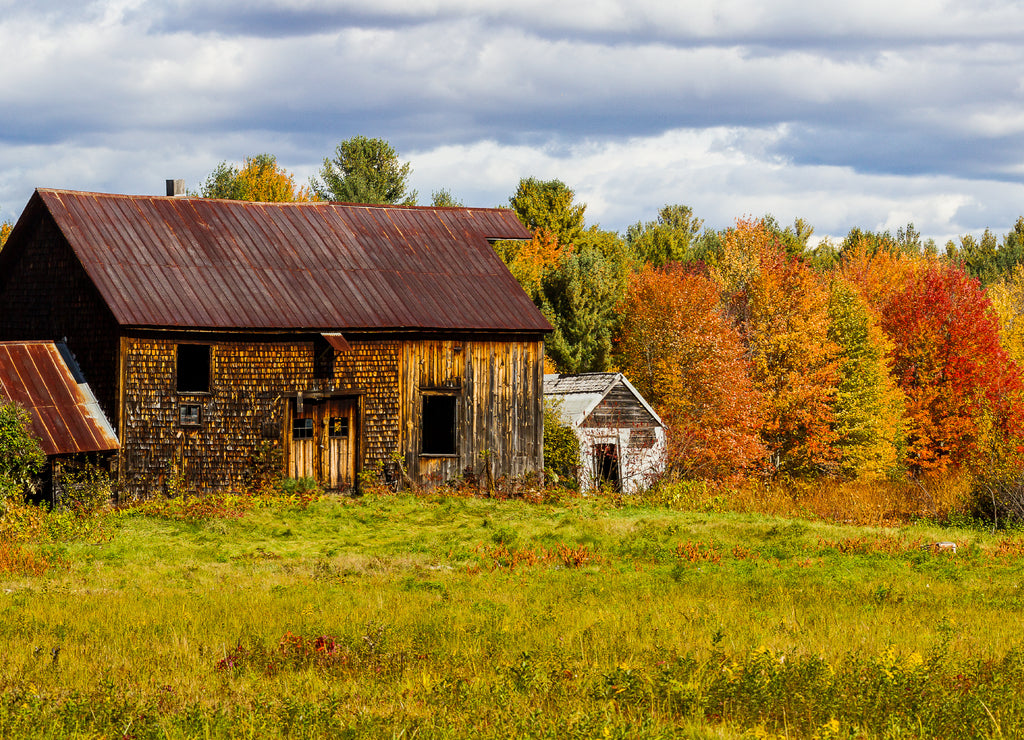 Autumn, Ossippee New Hampshire
