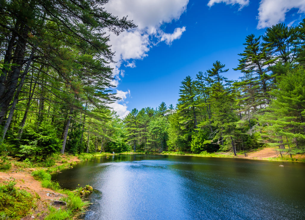 The Archery Pond at Bear Brook State Park, New Hampshire