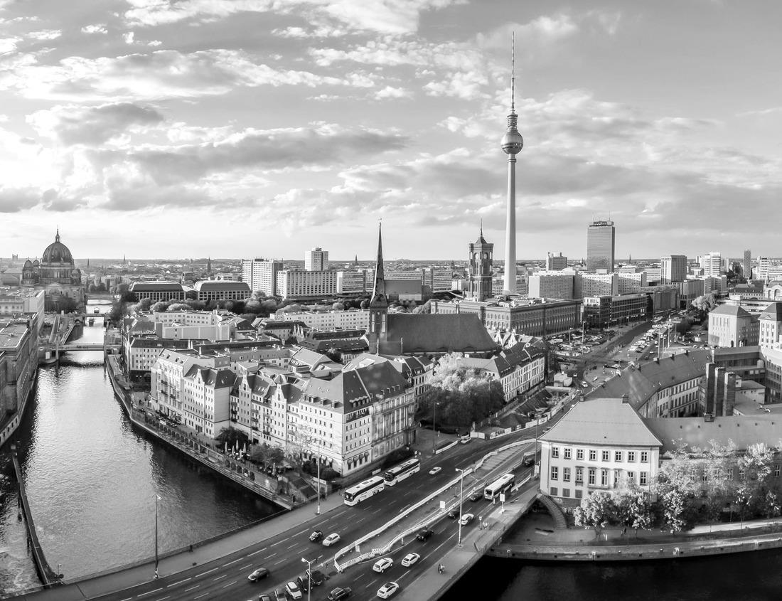 Noah Jigsaw Puzzle Albany, New York, USA downtown city skyline at dusk in black white 1000 pieces