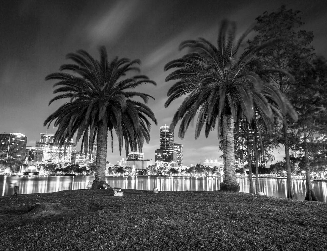 Noah Jigsaw Puzzle Delray Beach Florida, Beach strip at night in black white 1000 pieces