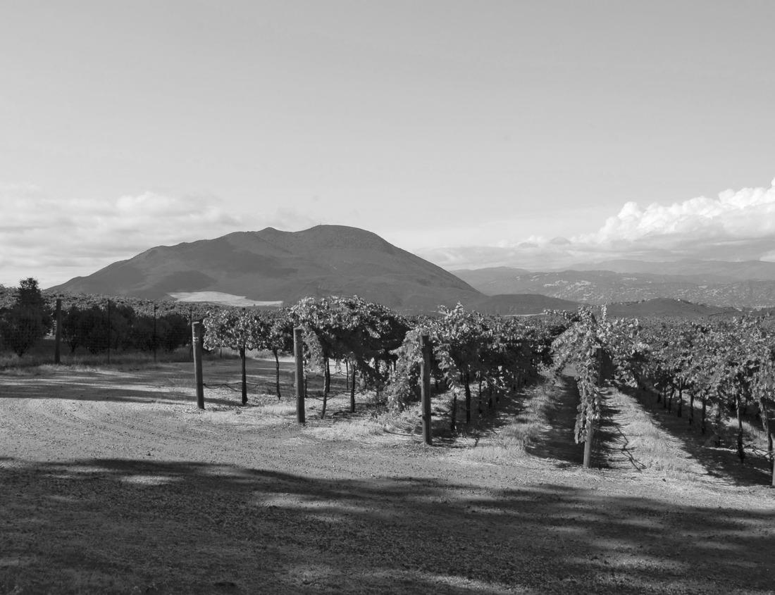 Noah Jigsaw Puzzle Fort Pierce Inlet in black white 1000 pieces