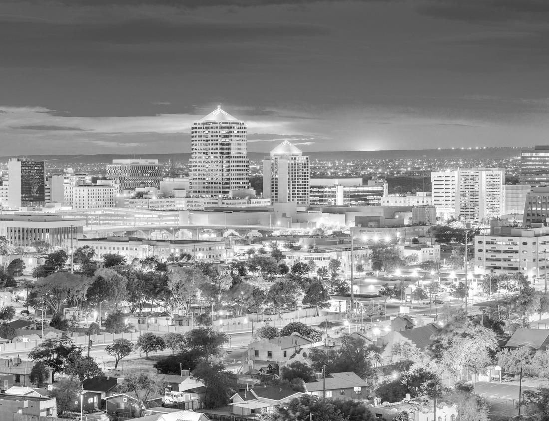 Noah Jigsaw Puzzle Houston, Texas, USA Downtown Park and Skyline at dusk in black white 1000 pieces