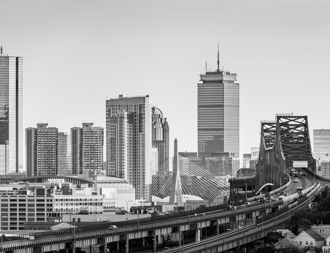 Noah Jigsaw Puzzle Beautiful park of Ariquemes Rondonia in black white 1000 pieces