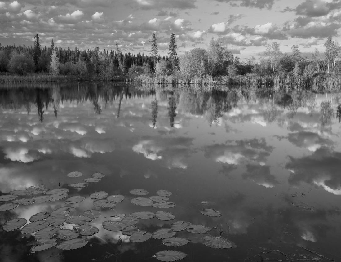 Noah Jigsaw Puzzle Nora, Sweden. Sunny day in the city in black white 1000 pieces