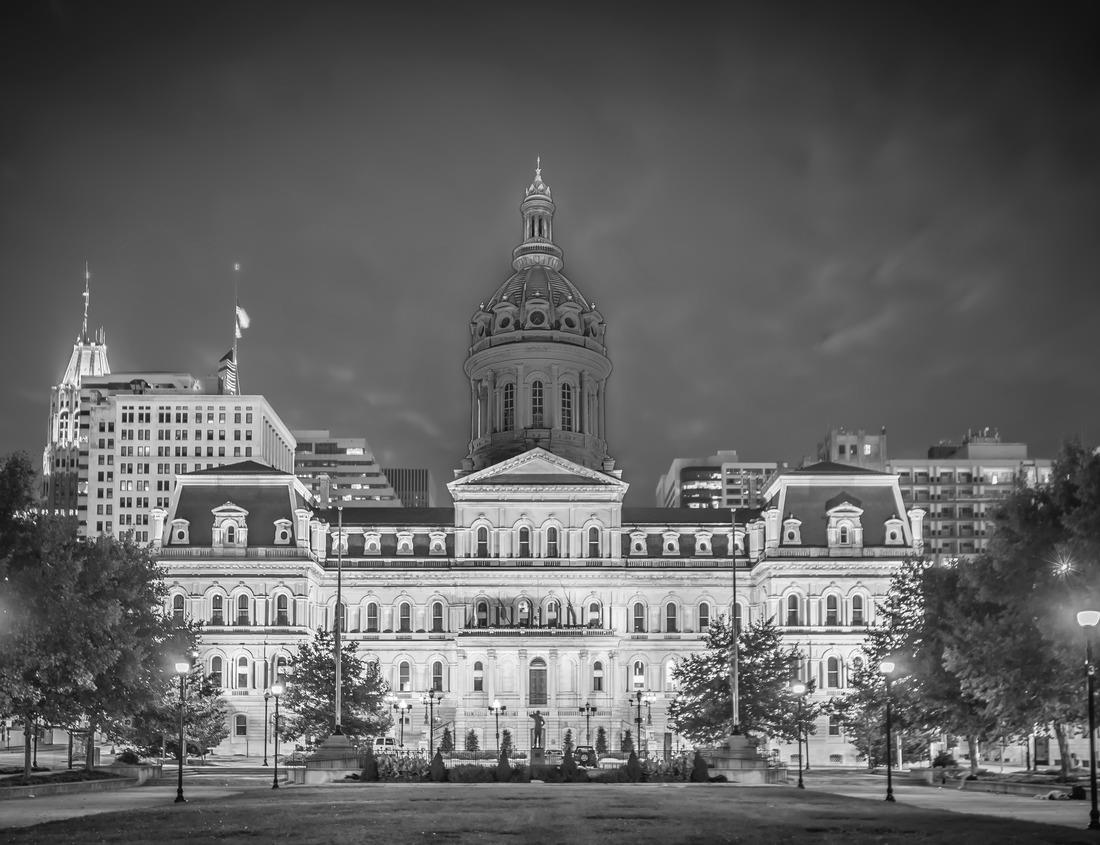 Noah Jigsaw Puzzle Ducks at Lake Willastein Maumelle Arkansas in black white 1000 pieces