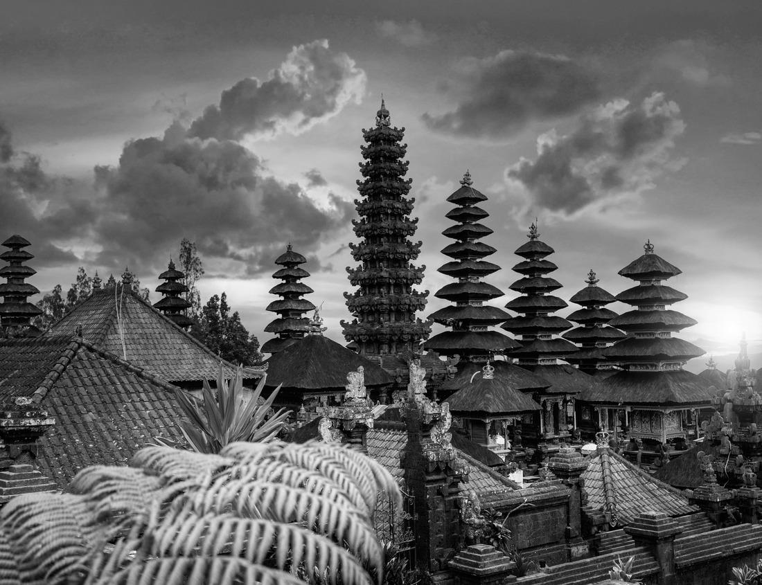 Noah Jigsaw Puzzle Beautiful sunset in the center of Los Angeles Skyline and palm trees in black white 1000 pieces