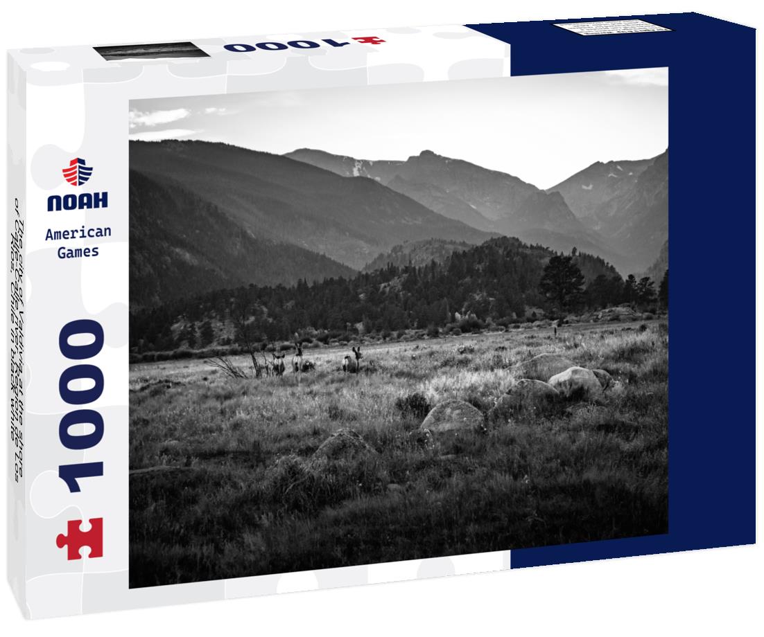 Noah Jigsaw Puzzle The city of Valdivia at the shore of Calle-Calle river, Region de Los Rios, Chile in black white 1000 pieces