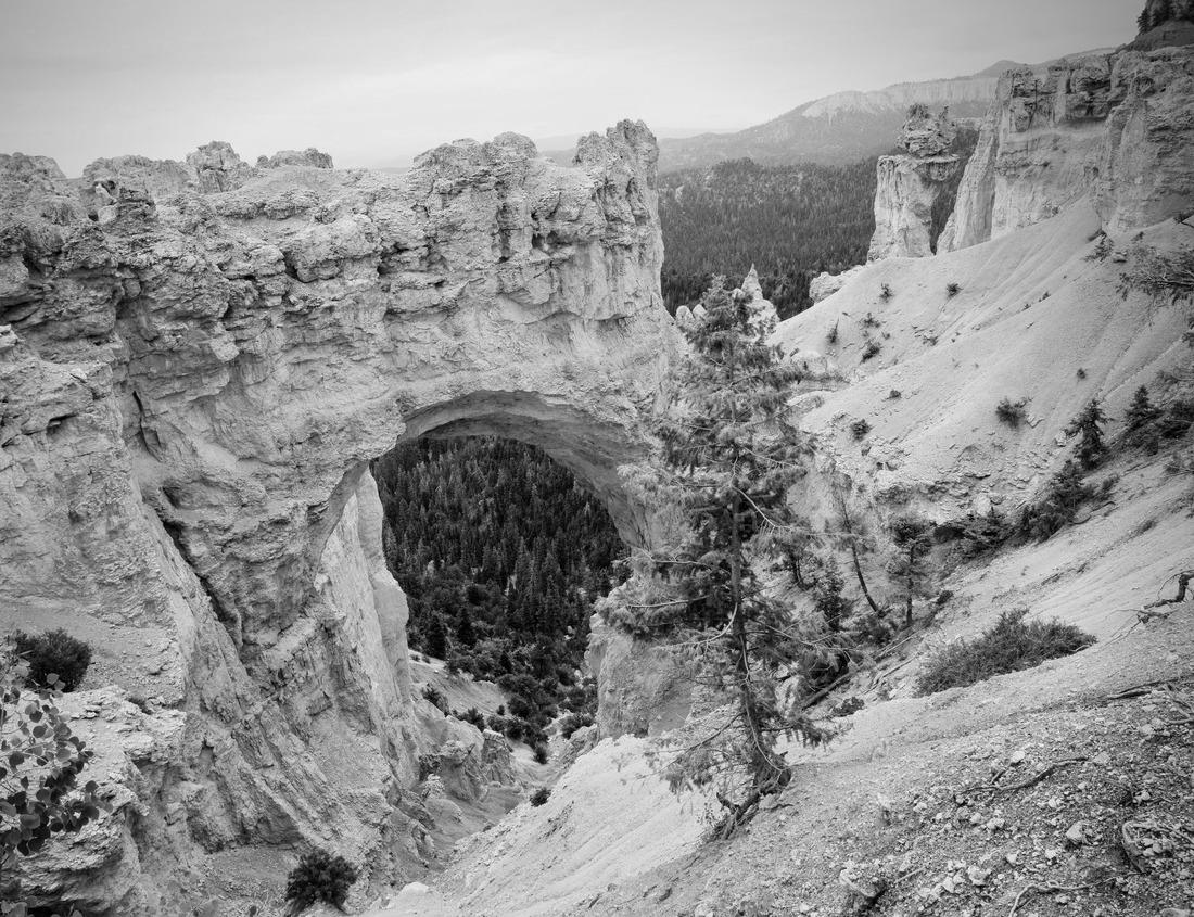 Noah Jigsaw Puzzle Dr. Marcus Whitman and Narcissa Whitman mission National Historic Site located west of Walla Walla, WA in black white 1000 pieces
