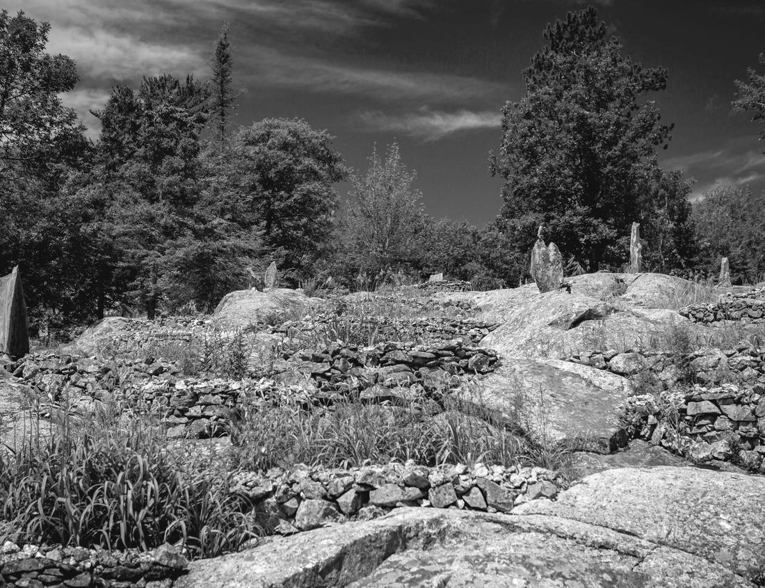 Noah Jigsaw Puzzle Albuquerque, New Mexico, USA downtown cityscape at twilight in black white 1000 pieces