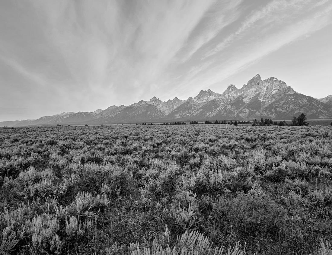 Noah Jigsaw Puzzle Bernardine Monastery in the city of Piotrków Trybunalski, Poland in black white 1000 pieces