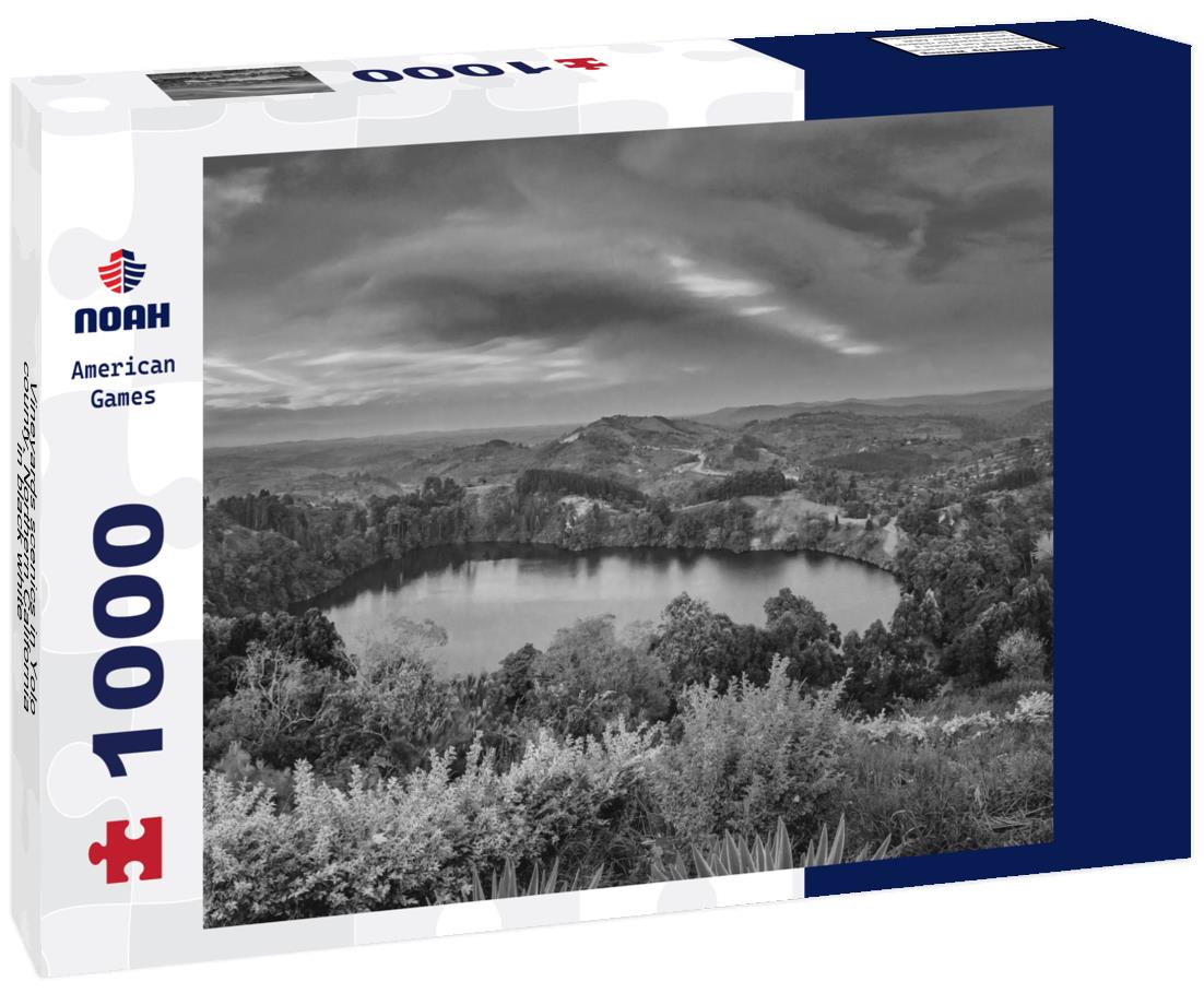 Noah Jigsaw Puzzle Vineyards scenics in Yolo county, Northern California in black white 1000 pieces