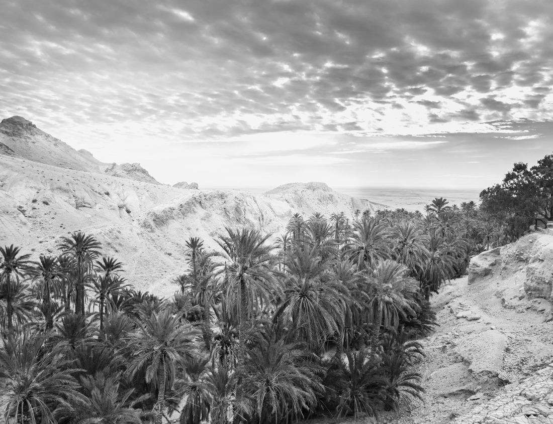 Noah Jigsaw Puzzle A Panorama Skyline view of Winnipeg, Manitoba in black white 1000 pieces