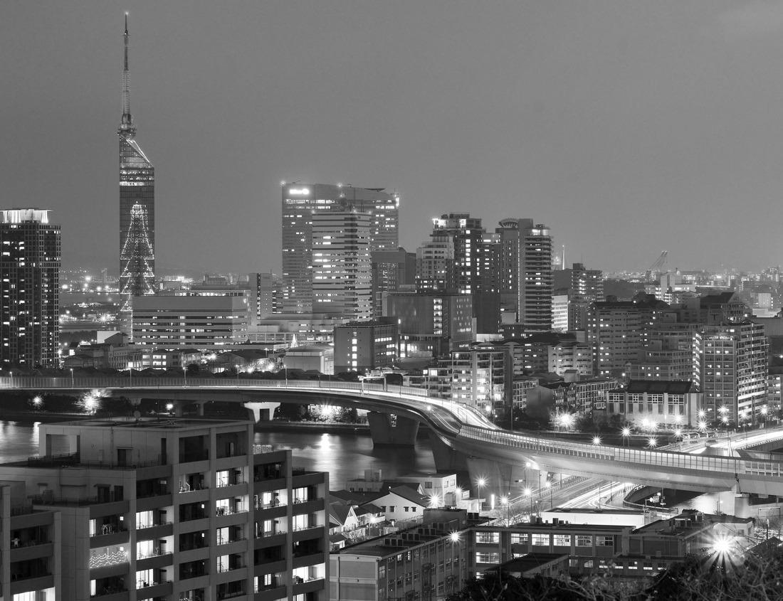 Noah Jigsaw Puzzle Memphis Tennessee TN in black white 1000 pieces