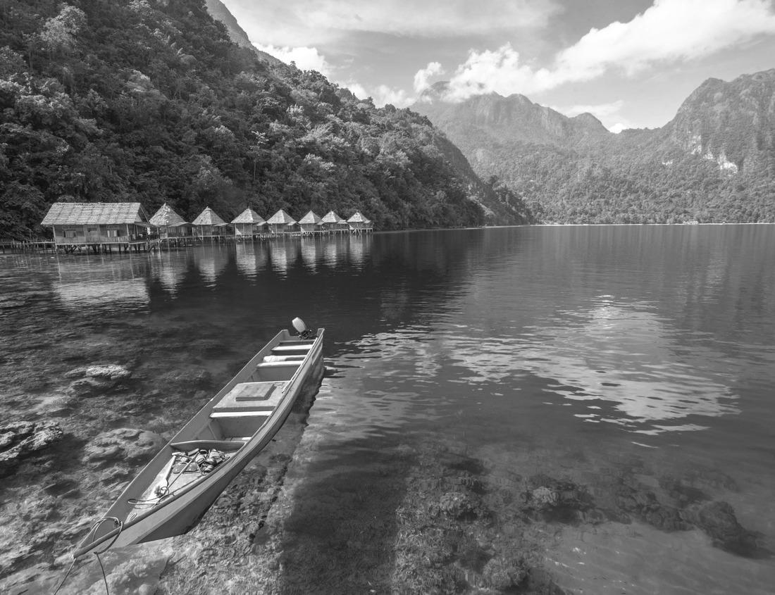 Noah Jigsaw Puzzle Downtown Knoxville Tennessee Drone Skyline Aerial along the Tennessee River in black white 1000 pieces