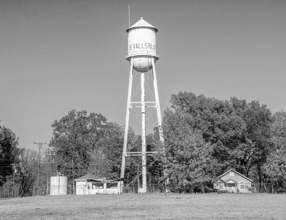 Noah Jigsaw Puzzle A Morning Blue Hour Shot of the Rochester, Minnesota Cityscape Reflecting in a Calm Silver Lake in black white 1000 pieces
