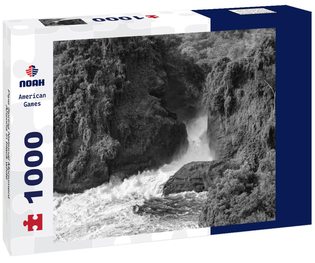 A detailed bottom view shows the water canyon of Murchison Falls in the Nile River, Uganda. 1000pc PuzzleBlack and White