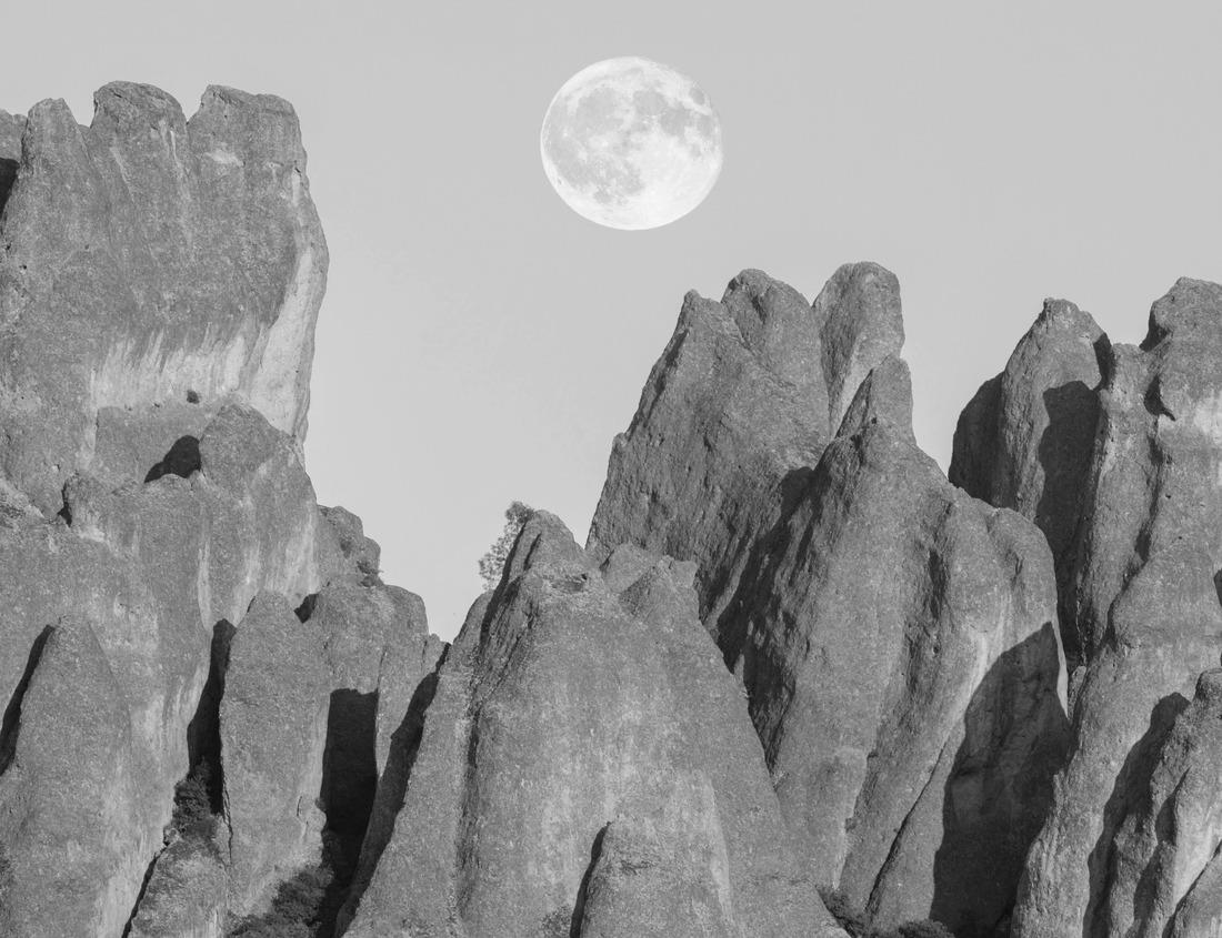 Noah Jigsaw Puzzle Meramec Caverns. Franklin County. Missouri. USA in black white 1000 pieces