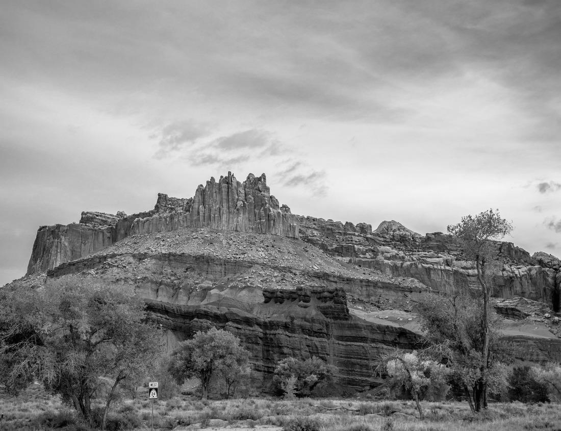 Noah Jigsaw Puzzle Los Angeles Long Beach California in black white 1000 pieces