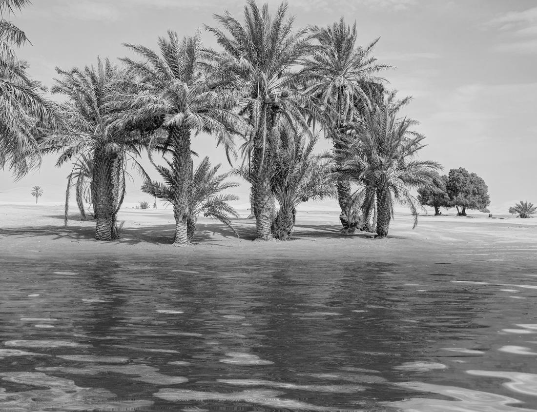 Noah Jigsaw Puzzle City of Angels - Los Angeles Skyline framed by San Bernadino Mountains and Mount Baldy with fresh snow from Kenneth Hahn State Park in black white 1000 pieces