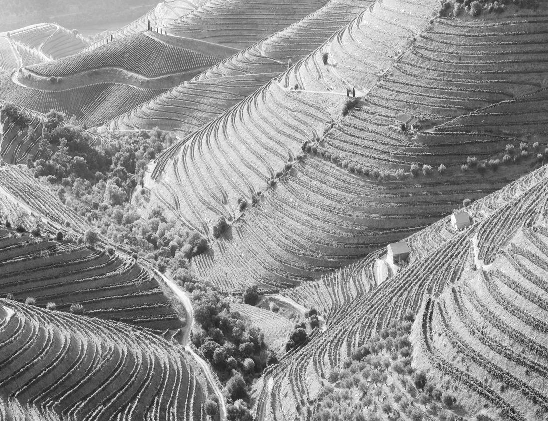 Noah Jigsaw Puzzle Chiba Urban Monorail, which is run at Chiba City, Chiba Prefecture, Japan in black white 1000 pieces