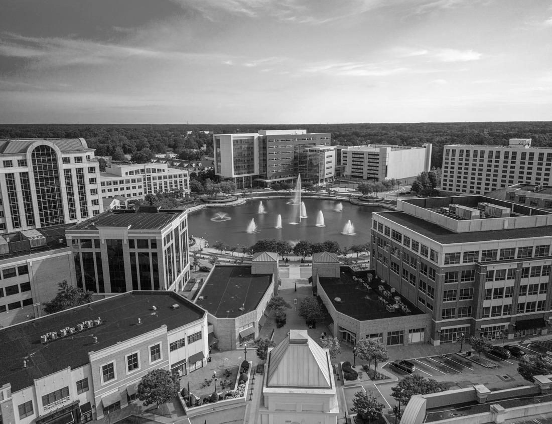 Noah Jigsaw Puzzle Aerial view of the city center of Newport News, Virginia, from above. in black white 1000 pieces