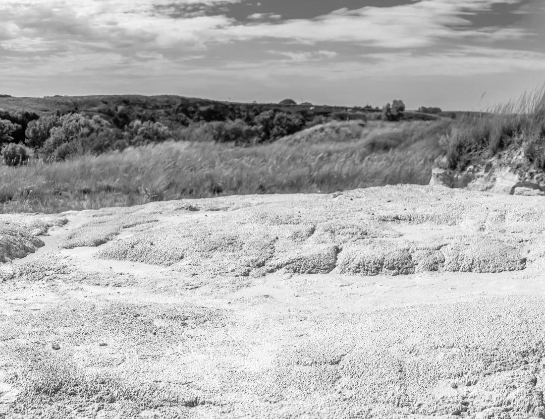 A is captured across Ashfall Fossil Beds State Historical Park in Antelope County, Nebraska. 1000pc PuzzleBlack and White