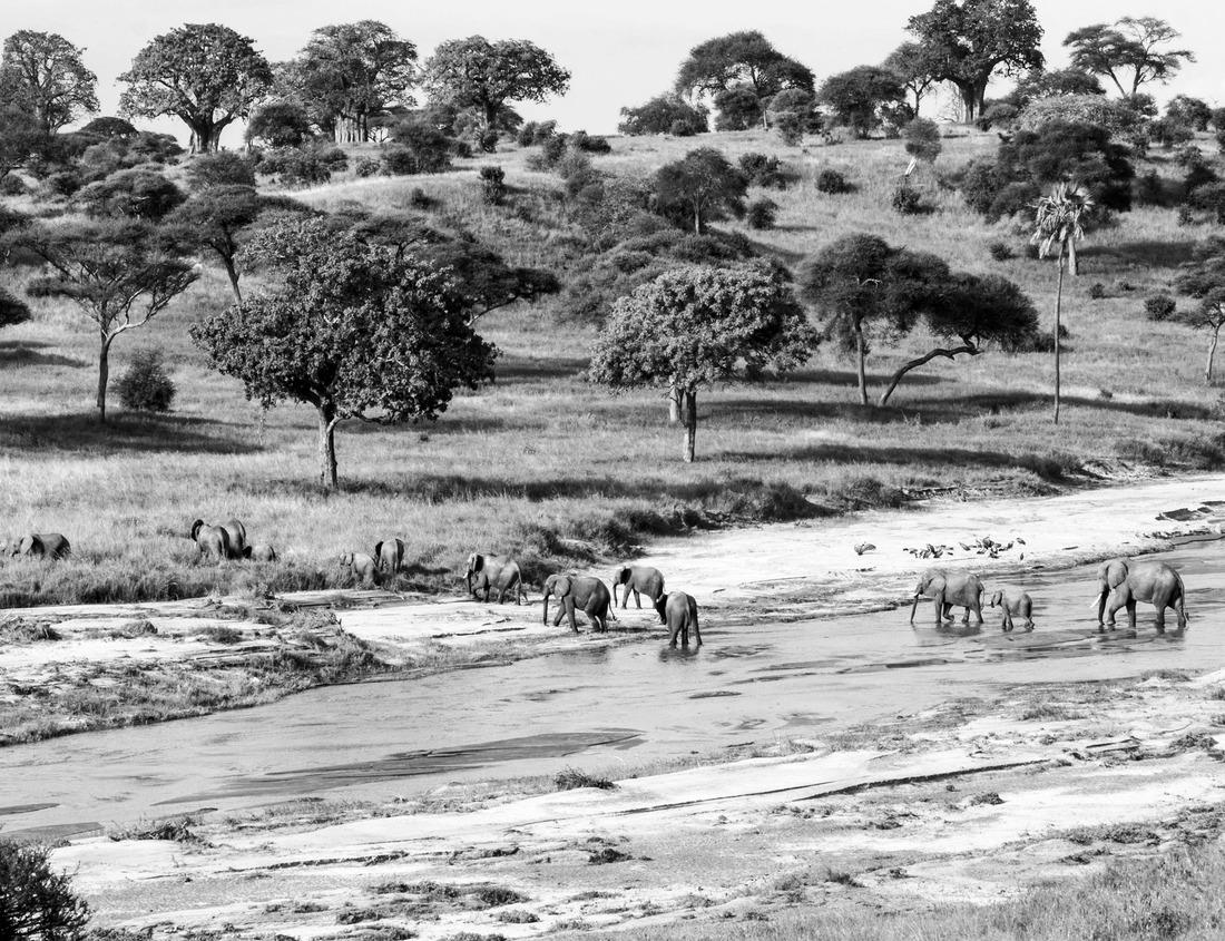 Noah Jigsaw Puzzle historic city verviers in belgium in black white 1000 pieces