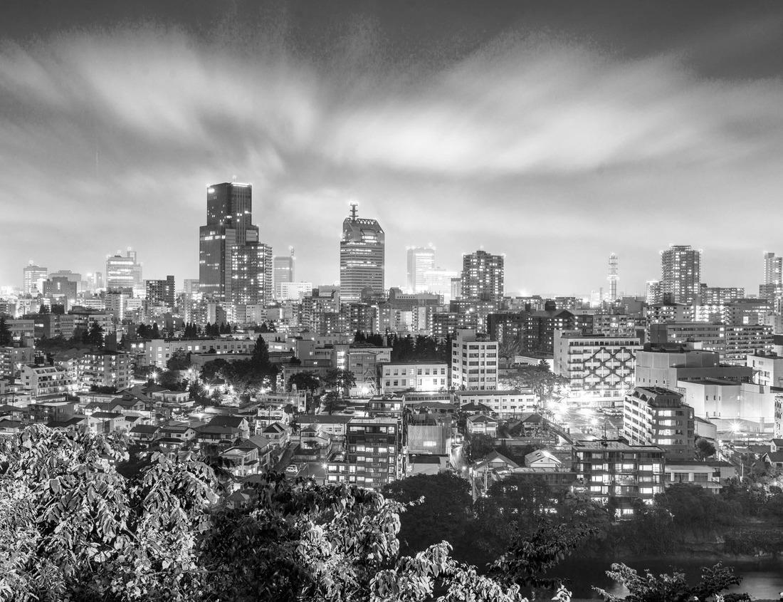 Noah Jigsaw Puzzle Columbus, Ohio, USA River skyline at dusk in black white 1000 pieces