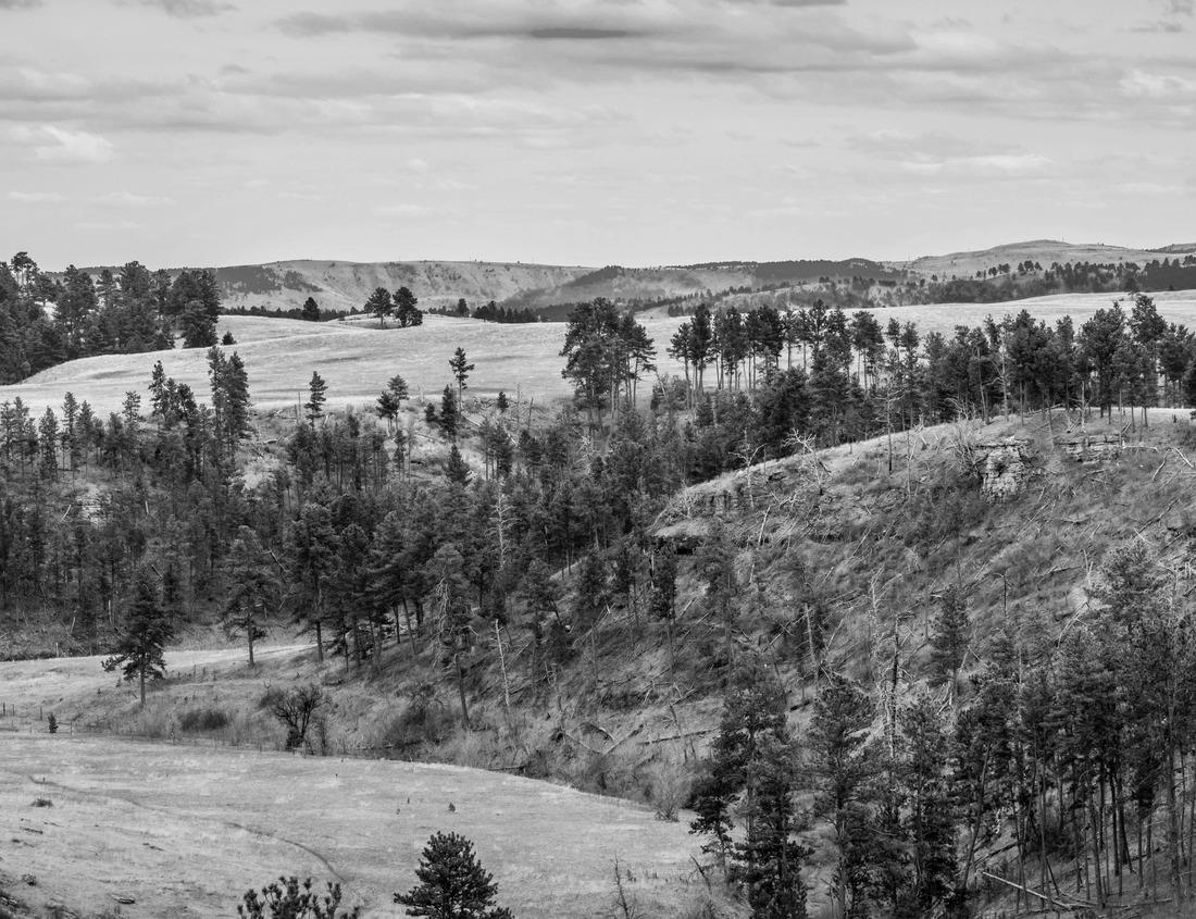 Noah Jigsaw Puzzle Amsterdam, Netherlands bridges and canals at twilight in black white 1000 pieces
