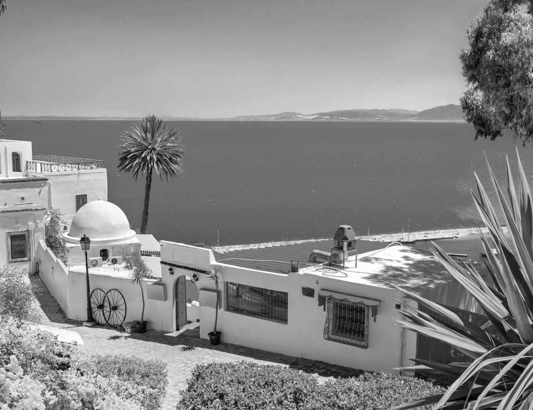 Noah Jigsaw Puzzle Bradenton Beach Historic Pier on Anna Maria Island, Florida in black white 1000 pieces