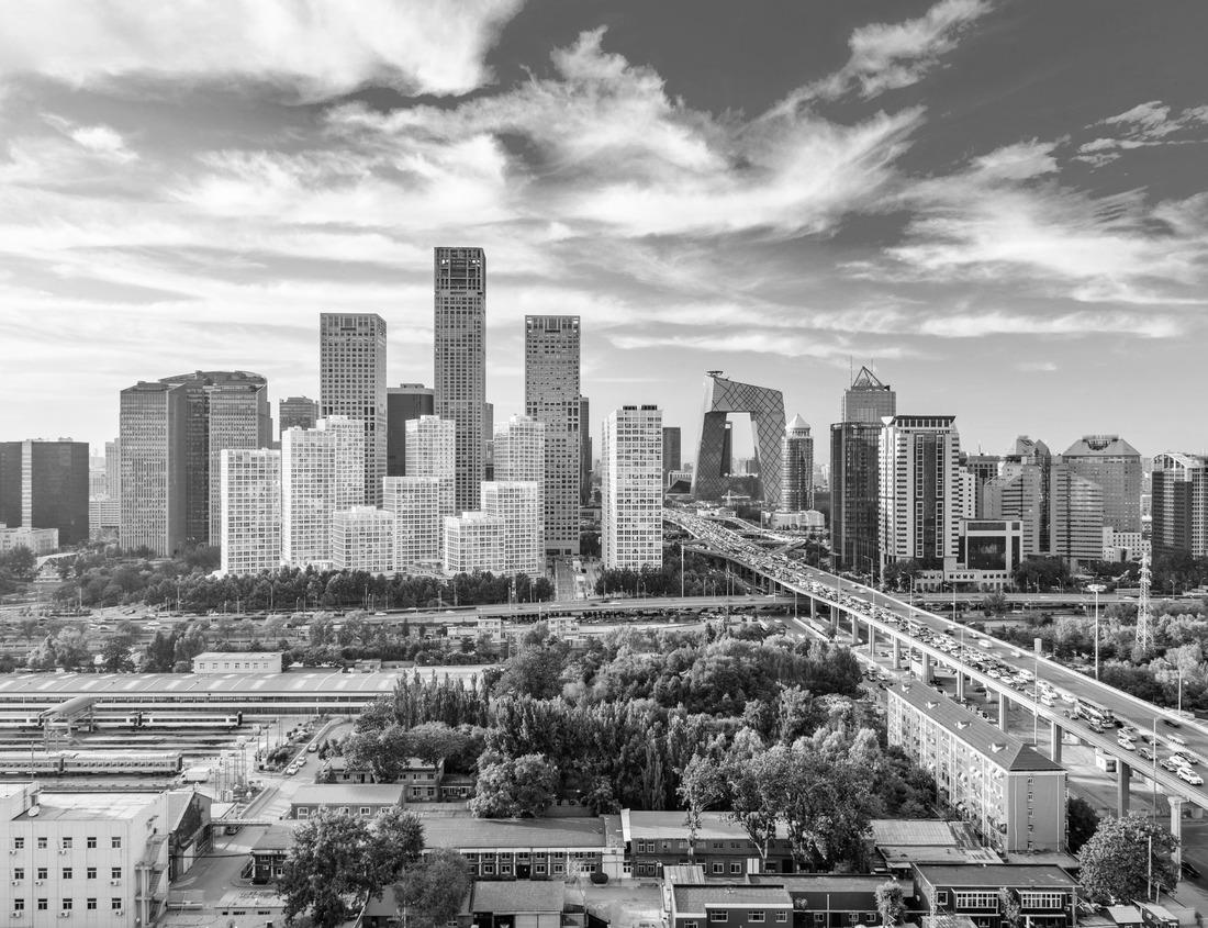 Noah Jigsaw Puzzle Lakeland, Florida, USA Gardens at night in black white 1000 pieces