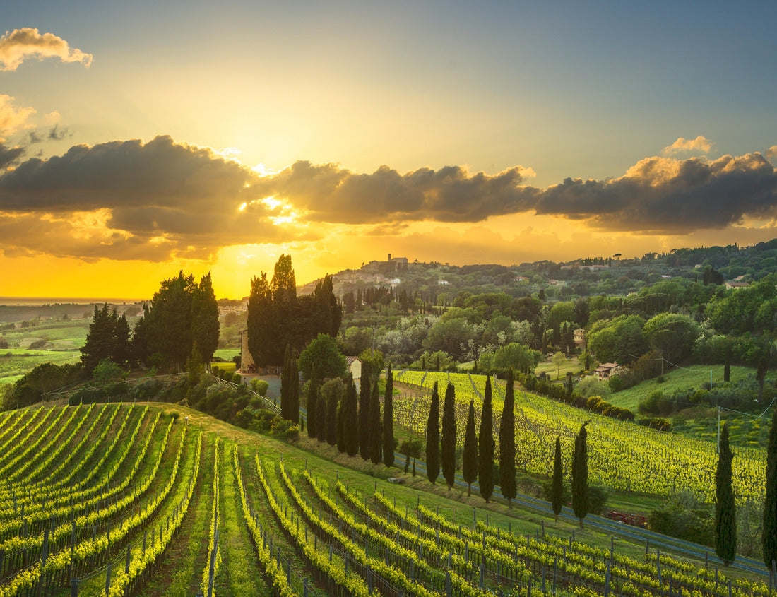 Noah Jigsaw Puzzle Casale Marittimo village, vineyards and landscape in Maremma. Pisa Tuscany, Italy 1000 pieces