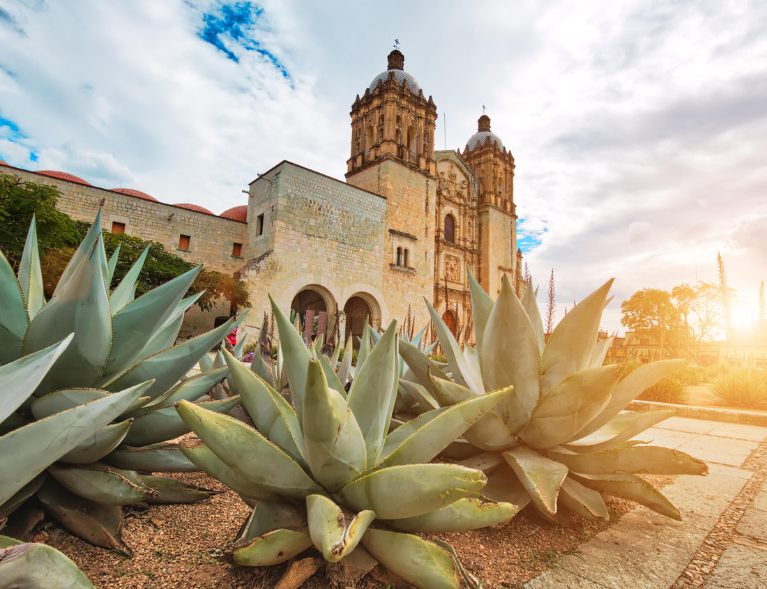 Noah Jigsaw Puzzle Landmark Santo Domingo Cathedral in the historic center of Oaxaca 1000 pieces