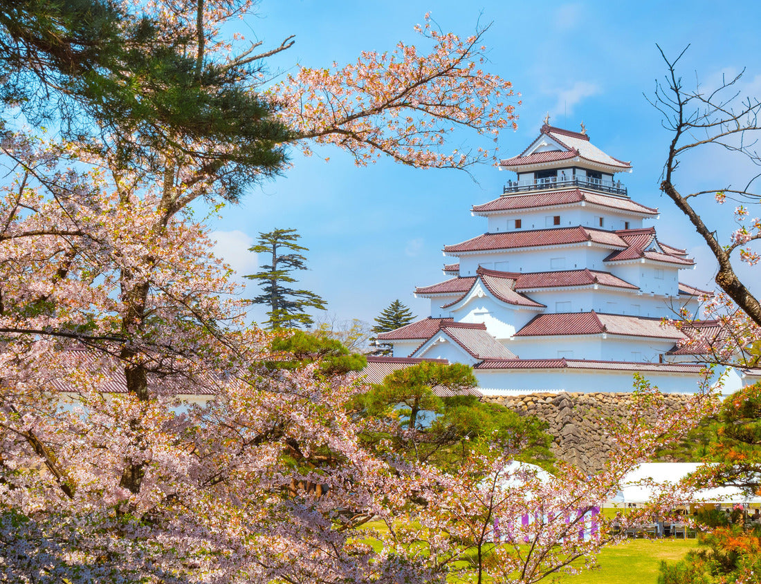 Noah Jigsaw Puzzle Aizuwakamatsu Castle and Cherry Blossom in Fukushima, Japan 1000 pieces