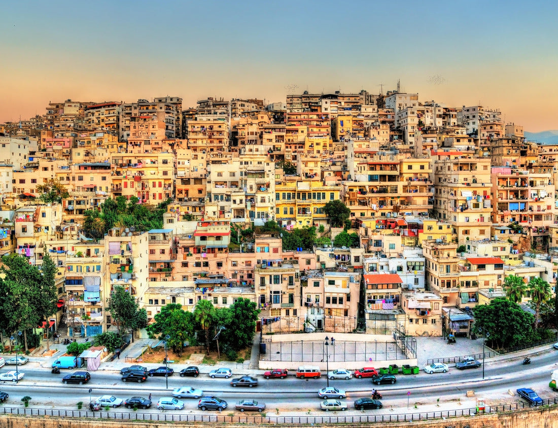 Noah Jigsaw Puzzle Cityscape of Tripoli, the largest city in northern Lebanon 1000 pieces