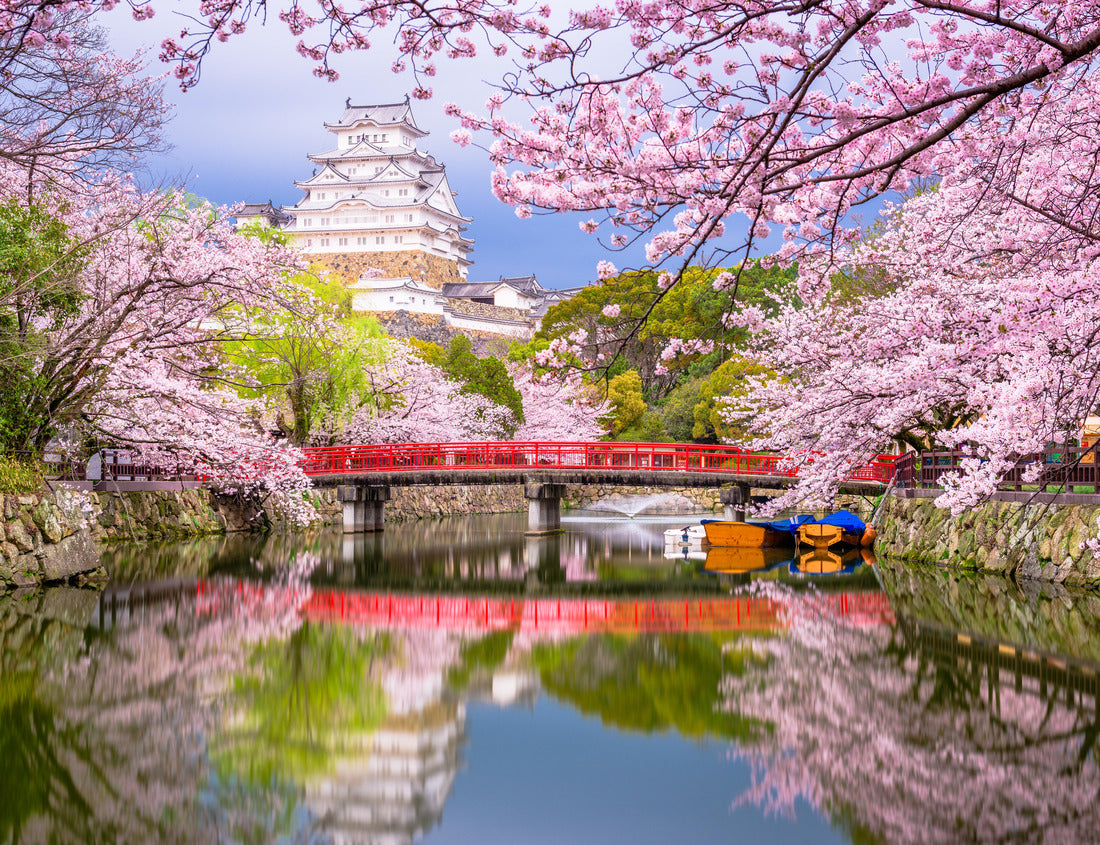 Noah Jigsaw Puzzle Himeji, Japan at Himeji Castle's surrounding moat in the spring season 1000 pieces
