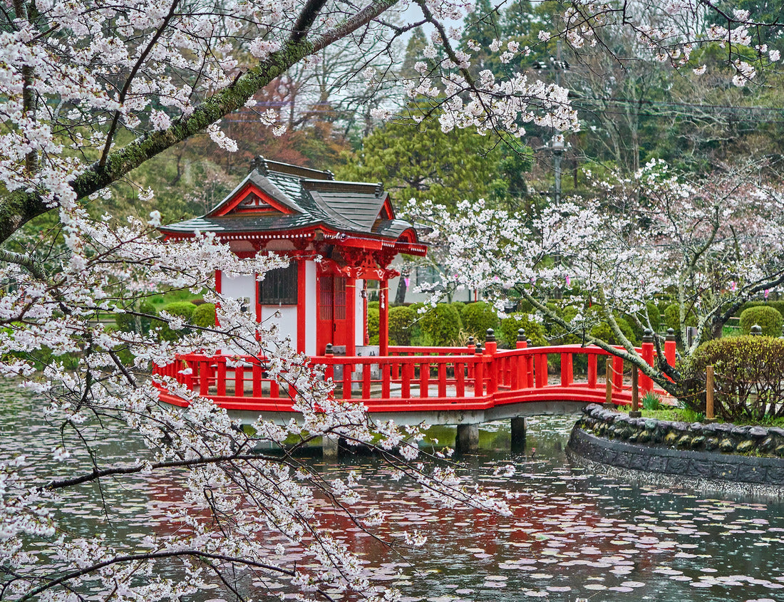 Noah Jigsaw Puzzle Mobara Park in Chiba during Sakura Season 1000 pieces