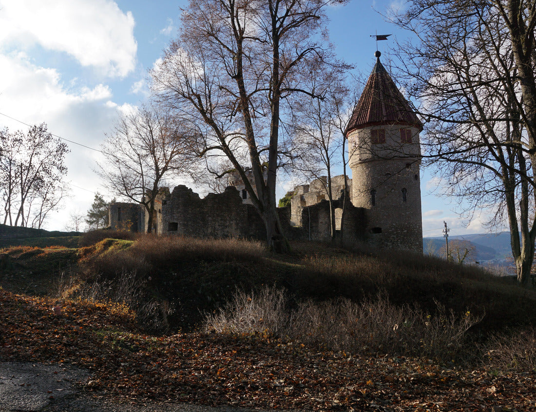 Noah Jigsaw Puzzle Honburg Castle in Tuttlingen, southern Germany 1000 pieces